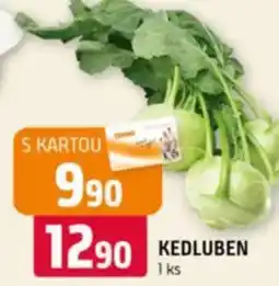 Terno Kedluben nabídka