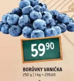 Terno Borůvky vanička nabídka