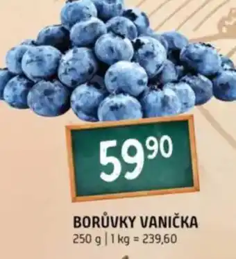 Terno Borůvky vanička nabídka