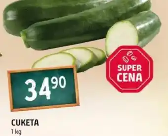 Terno Cuketa nabídka