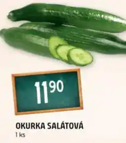Terno Okurka salátová nabídka