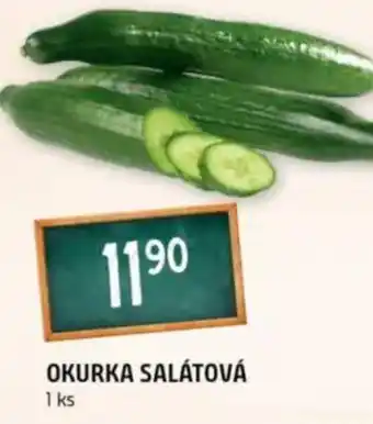 Terno Okurka salátová nabídka