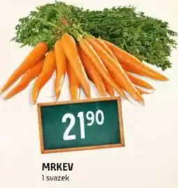 Terno Mrkev 1 svazek nabídka