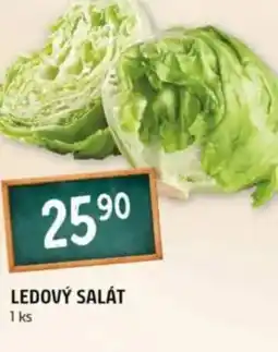 Terno Ledový salát nabídka