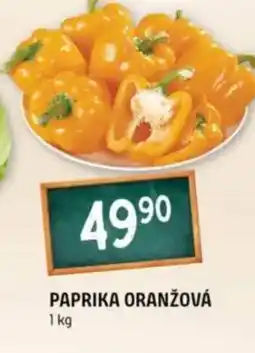 Terno Paprika oranžová nabídka