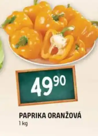 Terno Paprika oranžová nabídka
