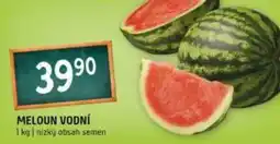 Terno Meloun vodní nabídka