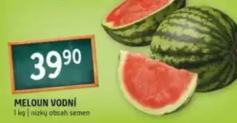Terno Meloun vodní nabídka