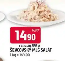 Terno Ševcovský mls salát nabídka