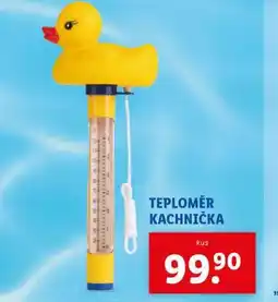 Lidl Teploměr kachnička nabídka