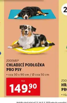 Lidl Chladicí podložka pro psy nabídka