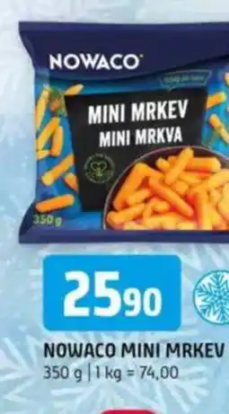 Terno Mini mrkev mini mrkva nabídka