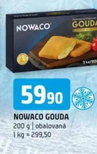 Terno Nowaco gouda nabídka