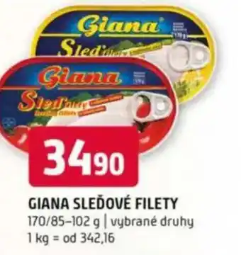 Terno GIANA Sleďové filety nabídka