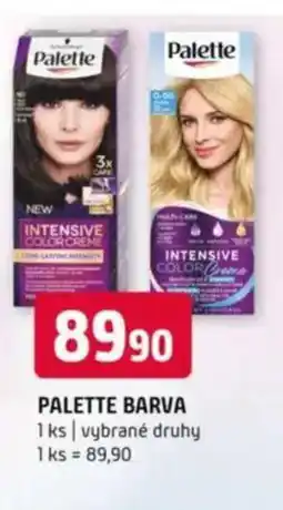 Terno Palette barva nabídka