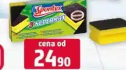 Terno Spontex nabídka