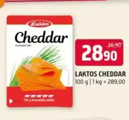 Terno LAKTOS Cheddar nabídka