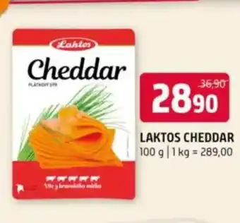 Terno LAKTOS Cheddar nabídka