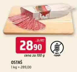 Terno Ostaš nabídka