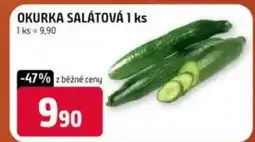 Terno Okurka salátová nabídka
