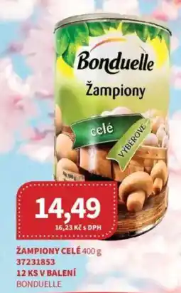 Kubík potraviny Žampiony celé nabídka