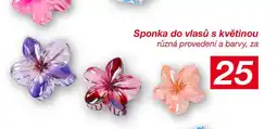 Kik Sponka do vlasů s květinou nabídka