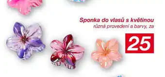 Kik Sponka do vlasů s květinou nabídka