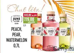 Ratio JUNE GIN 0,7l nabídka