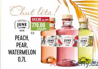 Ratio JUNE GIN 0,7l nabídka