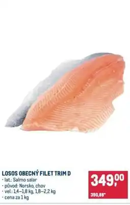 Makro Losos obecný filet trim D nabídka