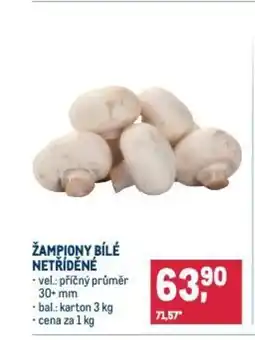Makro Žampiony bílé netříděné nabídka