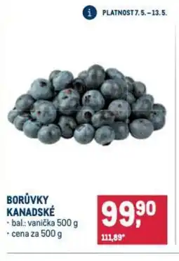 Makro Borůvky kanadské nabídka