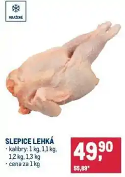 Makro Slepice lehká nabídka