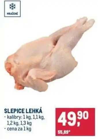 Makro Slepice lehká nabídka