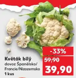 Kaufland Květák bílý nabídka