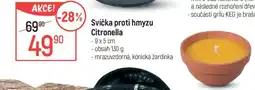 Globus Svíčka proti hmyzu Citronella nabídka