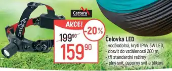 Globus ČELOVKA LED nabídka