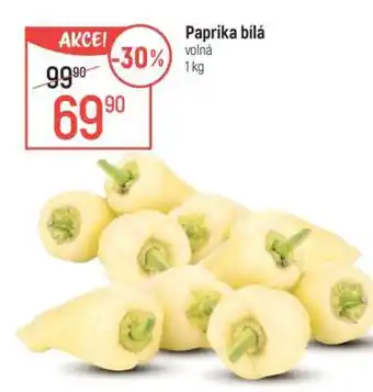 Globus PAPRIKA BÍLÁ nabídka