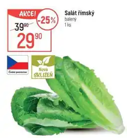 Globus Salát římský nabídka