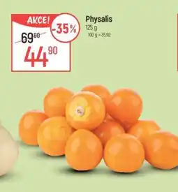 Globus Physalis nabídka