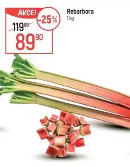 Globus Rebarbora nabídka