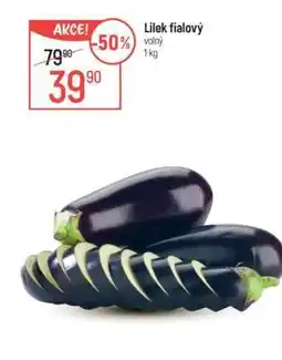 Globus Lilek fialový nabídka