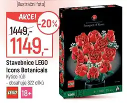 Globus Stavebnice LEGO Icons Botanicals nabídka