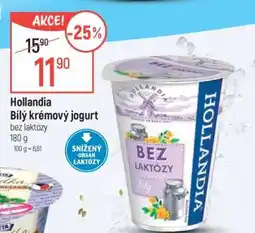Globus Hollandia Bílý krémový jogurt nabídka