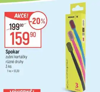 Globus Spokar nabídka
