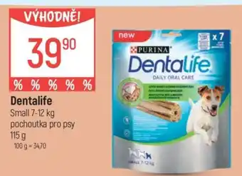 Globus Dentalife nabídka