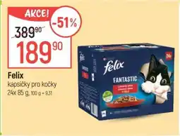 Globus Felix kapsičky pro kočky nabídka