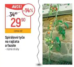 Globus Spirálové tyče na rajčata a fazole nabídka