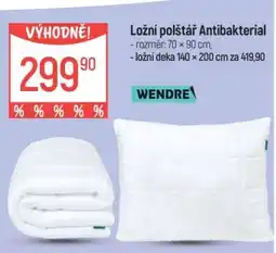Globus Ložní polštář Antibakteriál nabídka