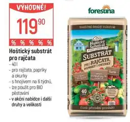 Globus Hoštický substrát pro rajčata nabídka
